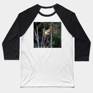 Yellow Rosella Baseball T-Shirt